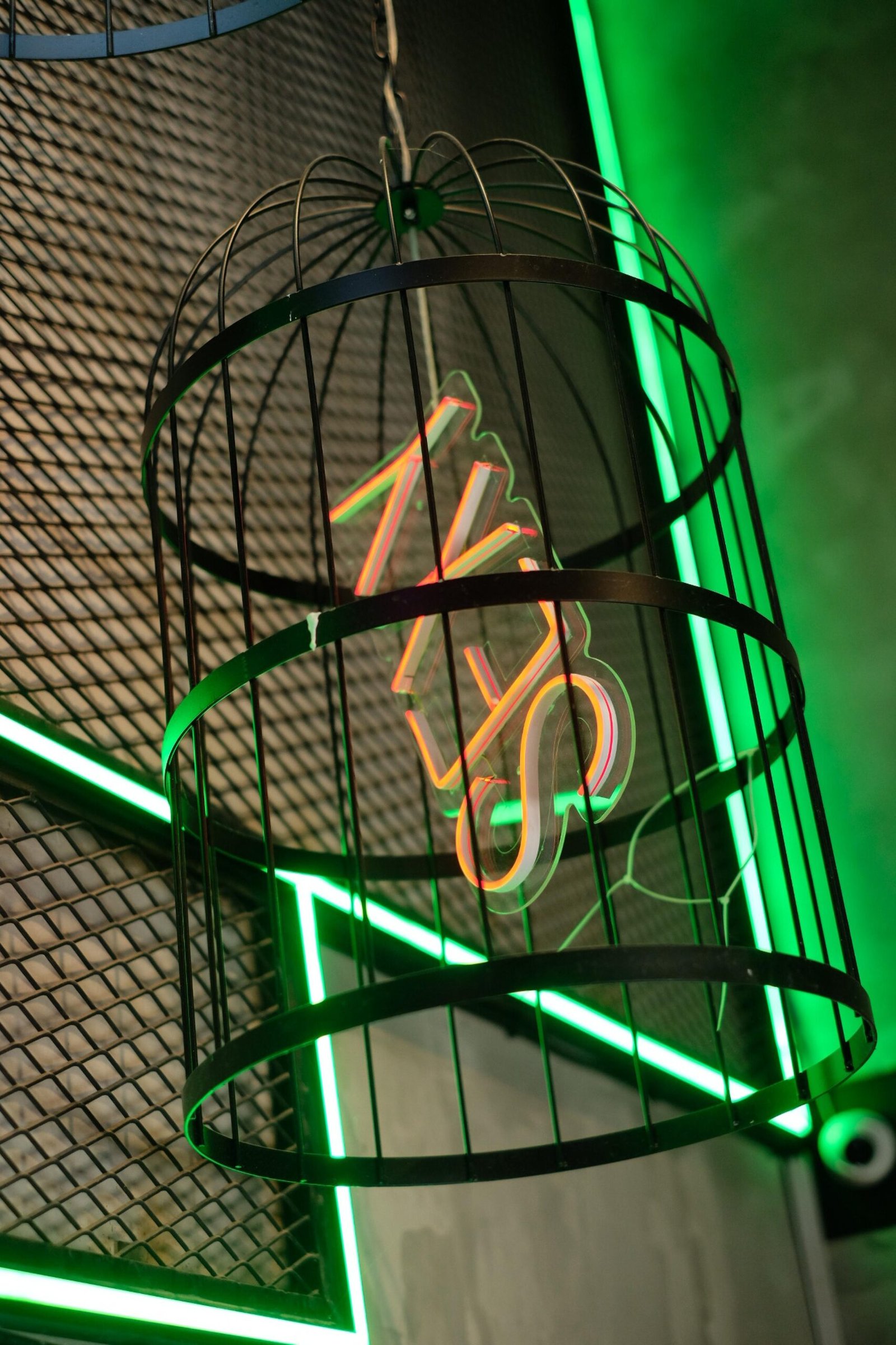 WhatsApp Image 2025-03-05 at 07.51.51 (3)