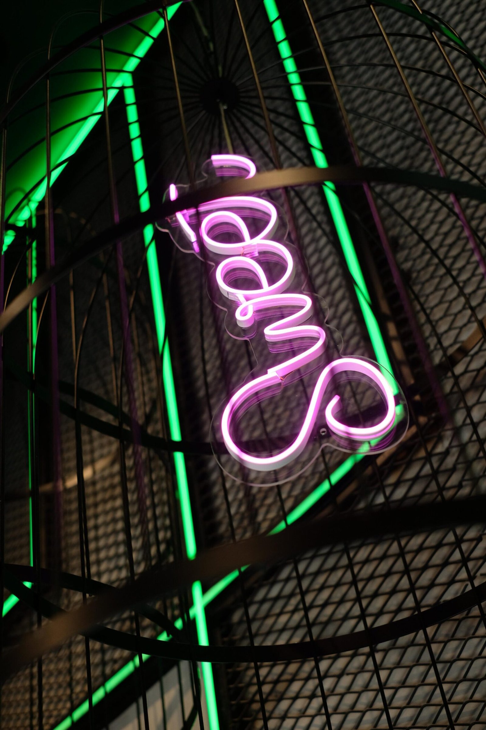 WhatsApp Image 2025-03-05 at 07.51.51 (4)